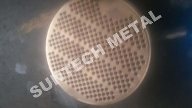 Cina SA516 Gr.70 Thick Naval Brass Clad Plate Tubesheet Machined and Drilled pemasok
